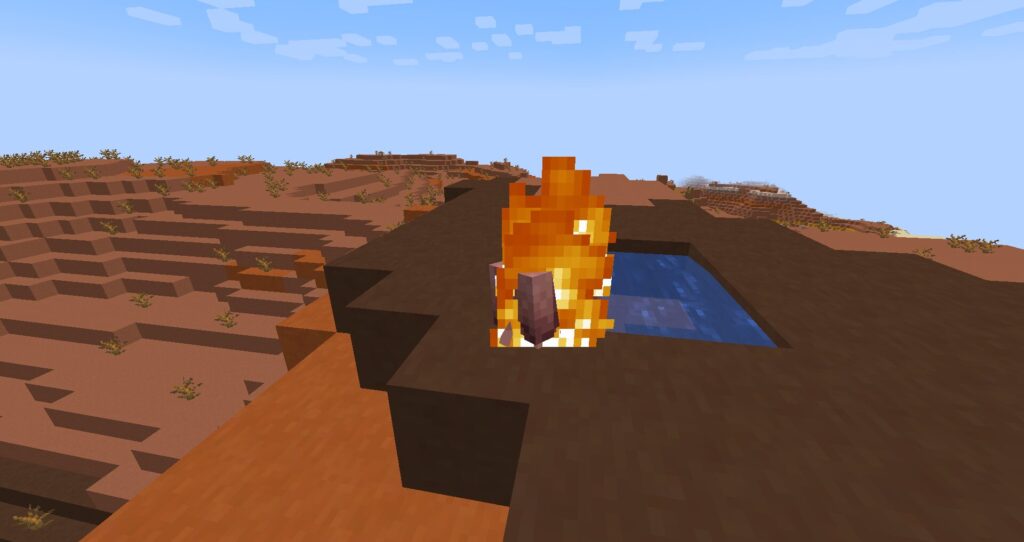 アルマジロは火のダメージを受けると水場に逃げ込む
