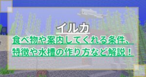 【マイクラ】イルカの食べ物(餌)や案内の条件、特徴や水槽の作り方を解説！【Minecraft】