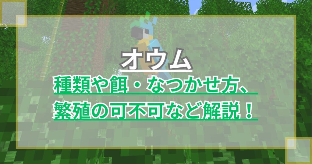 【マイクラ】オウムの種類や餌・なつかせ方、繁殖は可能など解説 声真似モブ【Minecraft】