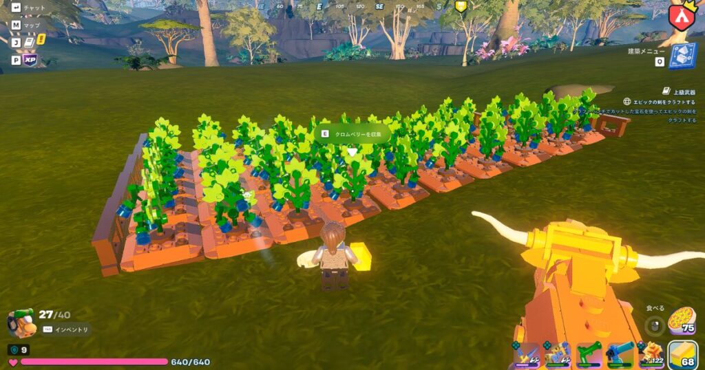 クロムベリーの畑